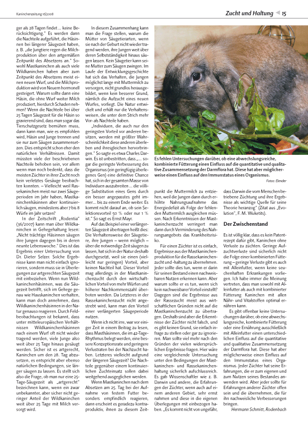Kaninchenzeitung-Bericht über Zucht und Haltung